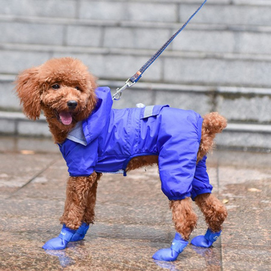 Rutschfeste wasserdichte Silikon-Stiefel für Haustiere, professioneller Hersteller von maßgeschneiderten Silikon-Haustierprodukten