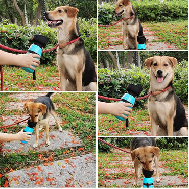 Large capacity collapsible portable dog water bottle wholesale