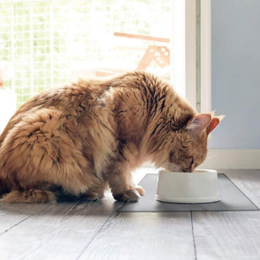 Silicone Waterproof Dog Cat Pet Food Mats Placemat Non-Slip Pet Bowl Mats Placemat Silicone Pet Dog Feeding Mat